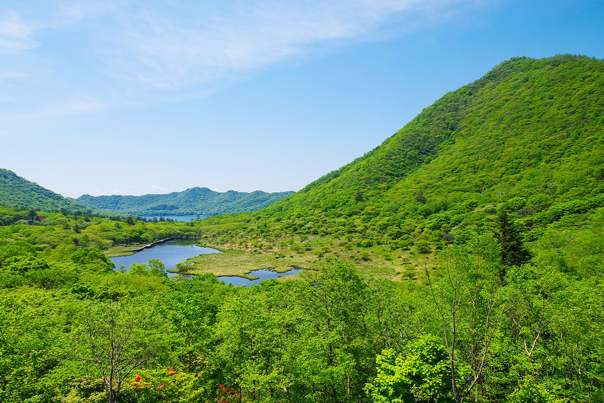 ⛩️ 아카기 신사 (赤城神社) 이미지 5